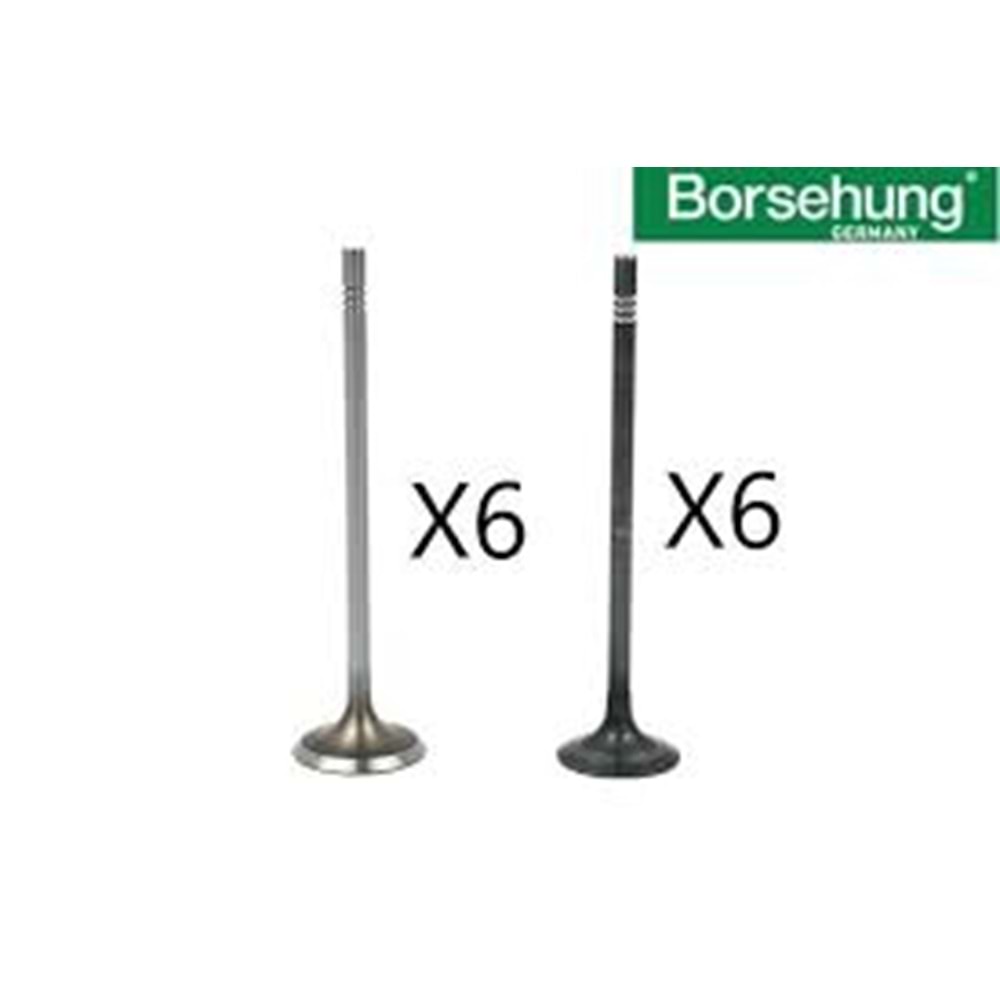 SUBAP TAKIMI ( 6MM 12VF) 1,0 MOTOR CHY BORSEHUNG