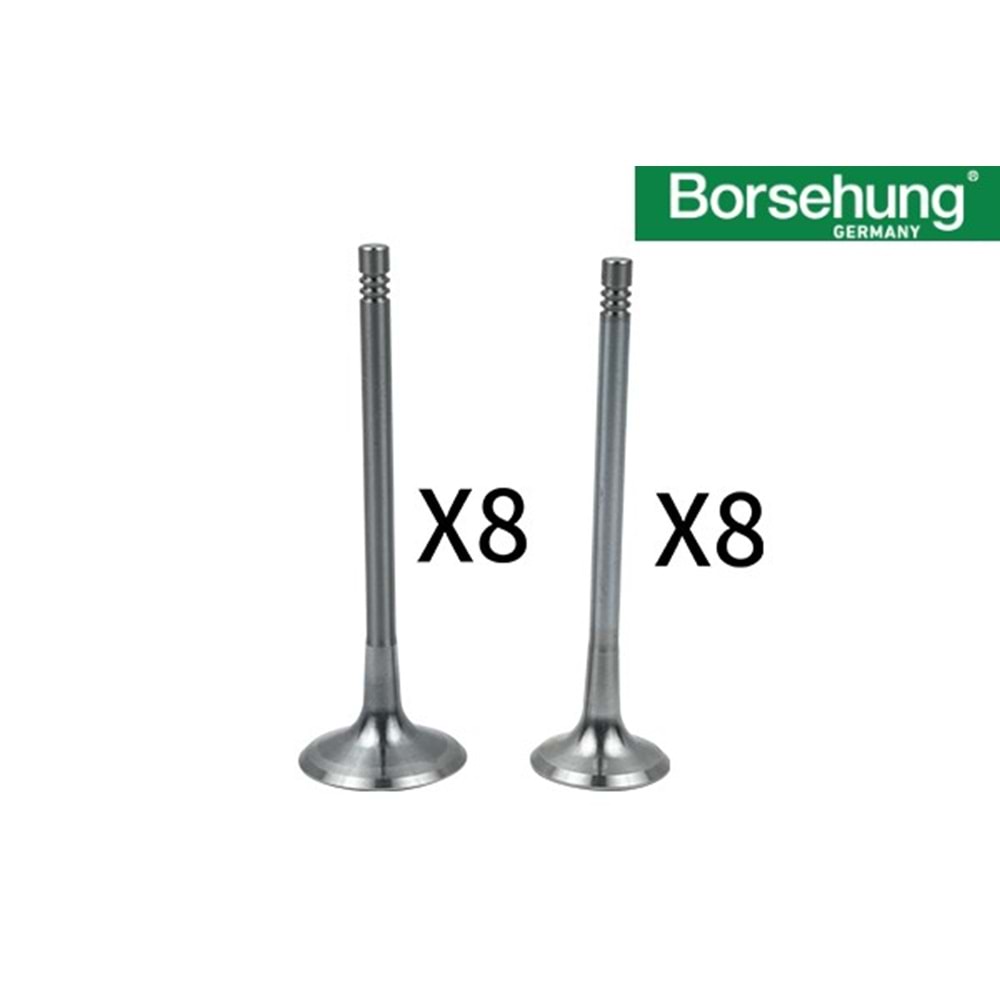 SUBAP TAKIMI ( 6 MM 16 Valf )1,8 2,0 TFSI BORSEHUNG